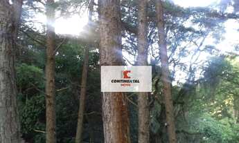 Imagem 4: Apartamento à venda, 53 m² por R$ 210.000,00 - Santa Terezinha - São Bernardo do Campo/SP