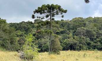 Imagem 7: Sítio Pedra do Elefante