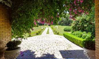 Imagem: SÃO JOSÉ DOS PINHAIS - Chácara - Roseira