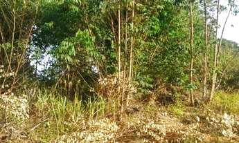 Imagem 5: Mairiporã com terrenos a venda