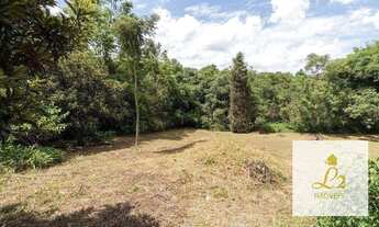 Imagem 5: Terreno para Condomínio - ZR2 com 7.746 M² no coração do Vista Alegre, ao lado do Parque T