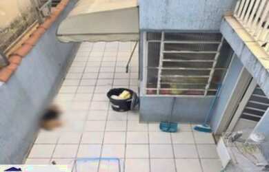 Imagem 7: 09017 - Casa 3 Dorms, VILA SIQUEIRA - SÃO PAULO/SP