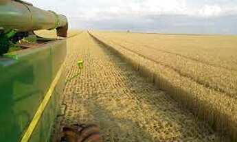 Imagem 3: ET - Rural Investimento - Compra de Fazenda - Milho Gado Soja Trigo