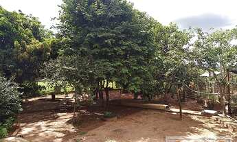 Imagem 5: Mirassol - Fazenda - Córrego do Limão