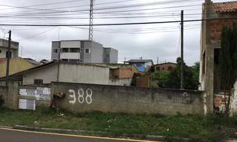Imagem 2: Terreno Gralha Azul