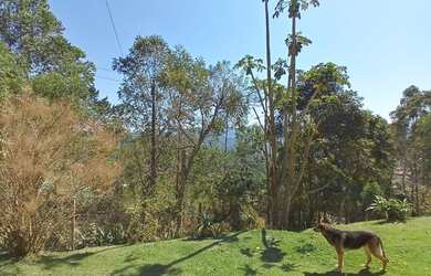 Imagem 4: Sítio com 3 dormitórios à venda, 25000 m² por R$ 2.000.000 - Rio Acima - Mairiporã/SP