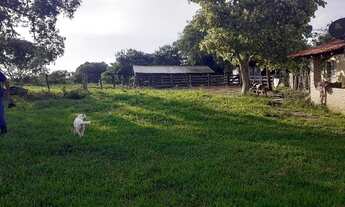Imagem 6: Fazenda - Venda 80 KM da capital, 60 km de asfalto + 20 km de estrada de chão