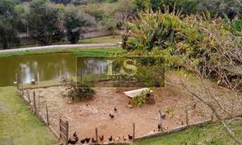 Imagem: ÓTIMA CHÁCARA EM SÃO ROQUE