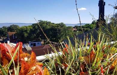 Imagem 3: Cobertura a Venda em Ipanema