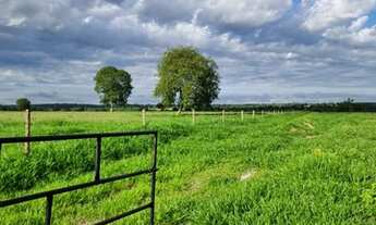 Imagem 7: Fazenda Dupla Aptidão em Araguapaz - Go