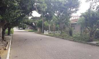 Imagem 4: Terreno, 414 m² - venda por R$ 310.500,00 ou aluguel por R$ 990,00/mês - Bela Vista - Alvo