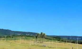 Imagem: Lotes 15x 30