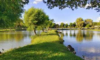 Imagem 2: Vendo Área de Terras em Parobé pra vc Investidor e Empreendedor na Piscicultura