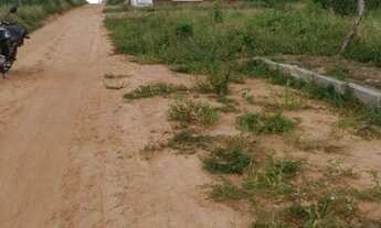 Imagem 5: Terreno 400m² no Interior - Bom Jesus/RN (vendo ou troco