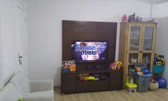 Imagem 4: FLORIANóPOLIS - Padrão - Agronômica