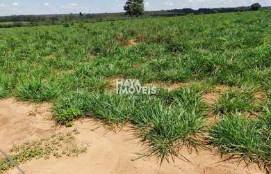 Imagem 7: Fazenda à venda, Rural, Santa Rita do Pardo, MS