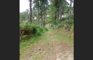 Imagem 3: Terreno/Lote Fazenda Suiça - Teresopolis - 475 m2 - Parcelo