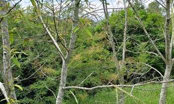 Imagem 7: Área à venda, 83652 m² por R$ 477.000,00 - Morungava - Gravataí/RS