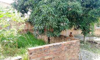 Imagem: Vendo terreno no conde