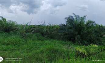 Imagem 2: R$ 960 mil reais 137 Hectares com 50 Hectares de dendê