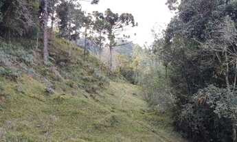Imagem 6: Sítio a venda em Rancho Queimado