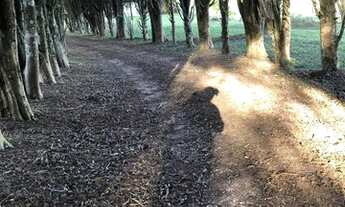 Imagem: Terreno em Ibiúna com Fácil Acesso a Capital
