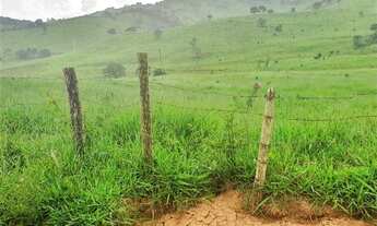 Imagem 3: Fazenda/sítios/chácaras com 3 dormitórios à venda em Carvalhos
