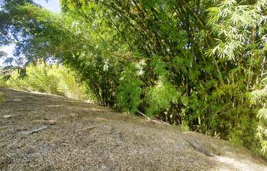 Imagem 6: TERRENO VENDA NO COND. MORADA DAS NASCENTES EM JOAQUIM EGÍDIO, CAMPINAS DE AT.1.690m², FRE