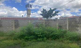 Imagem 7: Casa Padrão em Ribeirão Preto