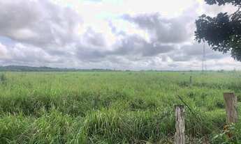 Imagem 4: Fazenda com 300 alqueires entre Paragominas e Mãe do rio