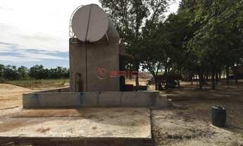 Imagem 5: Fazenda para Soja + pivô em Santa Rosa ,Tocantins, com 945 hectares