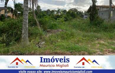 Imagem 6: Vendo lote na Praia do Ervino