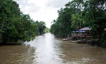Imagem: Vendo terreno na Ilha do Combu