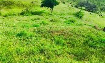 Imagem: 29NO TERRENO IMPECÁVEL