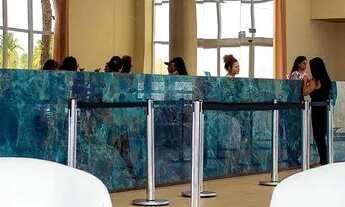 Imagem 3: Aqualand Salinas