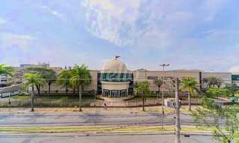 Imagem 7: Santo André - Apartamento Padrão - Jardim