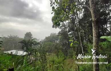 Imagem 6: Terreno 4.300 m² com uma casa em Santo Amaro da Imperatriz
