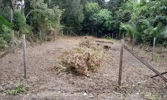 Imagem 2: Vendo Terreno Alter do Chão Prox Estrada Pindobal
