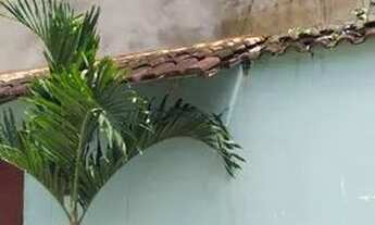 Imagem: Alugo Casa na Palhada