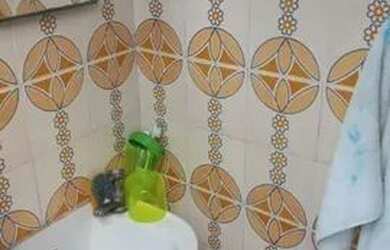 Imagem 2: São Paulo - Casa Padrão - Vila Formosa