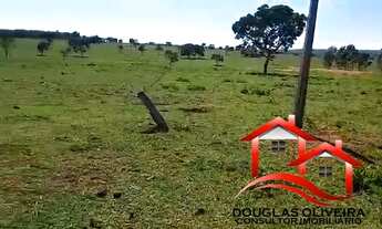 Imagem: Fazenda 127 Alqueires Região De Santa Rita