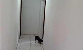 Imagem 5: Vendo Excelente casa Vicente Pires Oportunidade