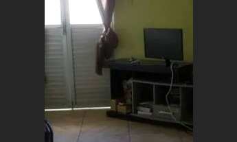 Imagem 3: Alugo casa na liberdade