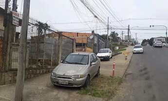 Imagem 5: Casa para venda tem 350 metros quadrados com 4 quartos em Santa Tereza - Porto Alegre - RS