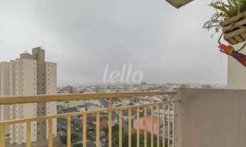 Imagem 4: Santo André - Apartamento Padrão - Vila Alzira