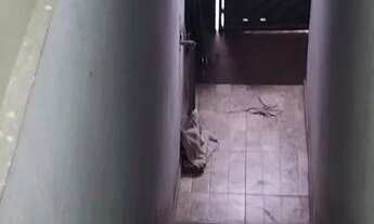 Imagem 4: Casa Casa com 2 dormitórios