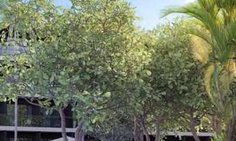 Imagem: OPORTUNIDADE PARA INVESTIDORES! Últimas