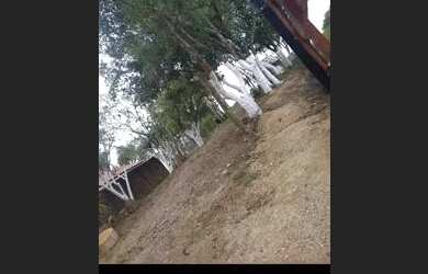 Imagem 3: Sítio em Canguçu RS