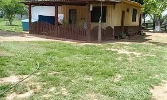 Imagem 2: COLÔNIA COM 50 HECTARES - BR 364 SENTIDO RIO BRANCO/ PORTO VELHO