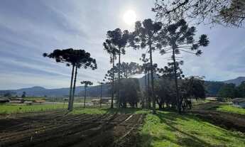Imagem 5: TERRENO NO CAMINHO PARA O MORRO DA IGREJA IDEAL PARA INVESTIMENTO!